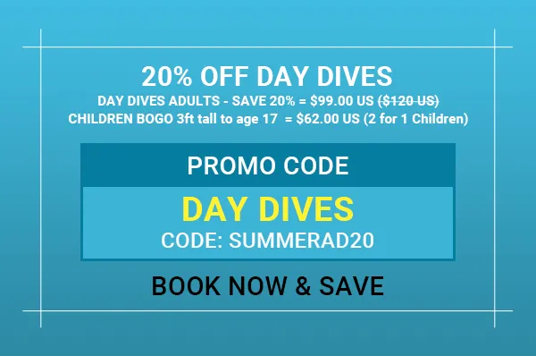 Online Booking Offer Day Dives with BOGO