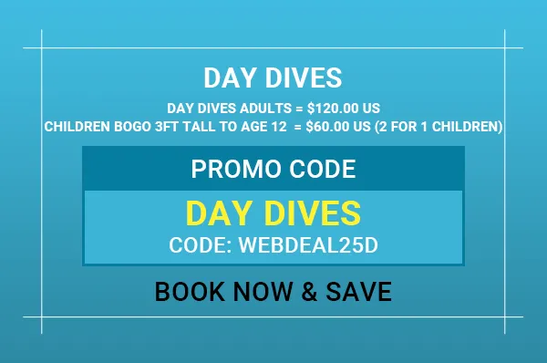 Online Booking Offer Day Dives with BOGO