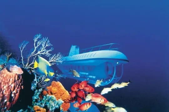 Underwater Adventures Image 21